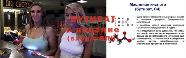 стаф Тайга