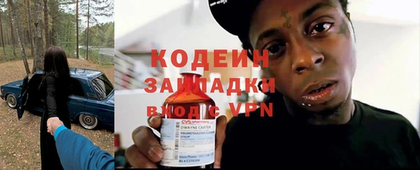 дмт Дмитров