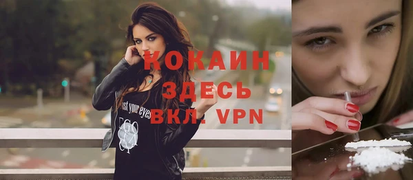 дмт Дмитров
