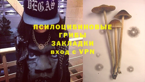 меф VHQ Дмитриев