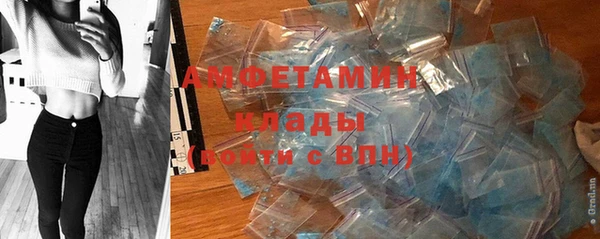 дмт Дмитров
