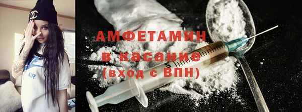 дмт Дмитров