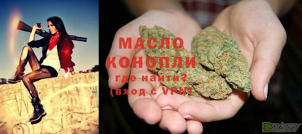 дмт Дмитров